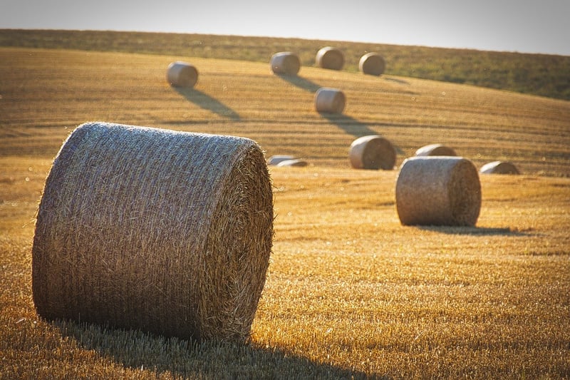 Yield Farming